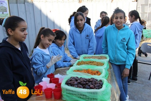 rashidiya 0212 (12).JPG